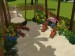 Screenshot-513.jpg